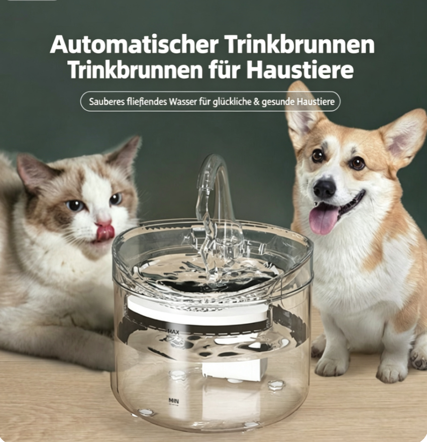 Automatischer Trinkbrunnen für Hunde & Katzen