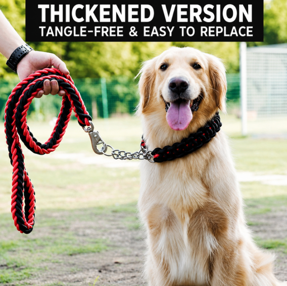 Wigglefolk Heavy-Duty Braided Dog Leash & P-Collar Set – Strong, Simple & Adventure Ready