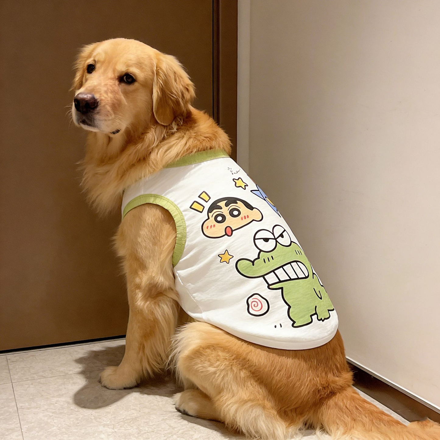 Kuscheliger Haustierpullover für Katzen & kleine Hunde