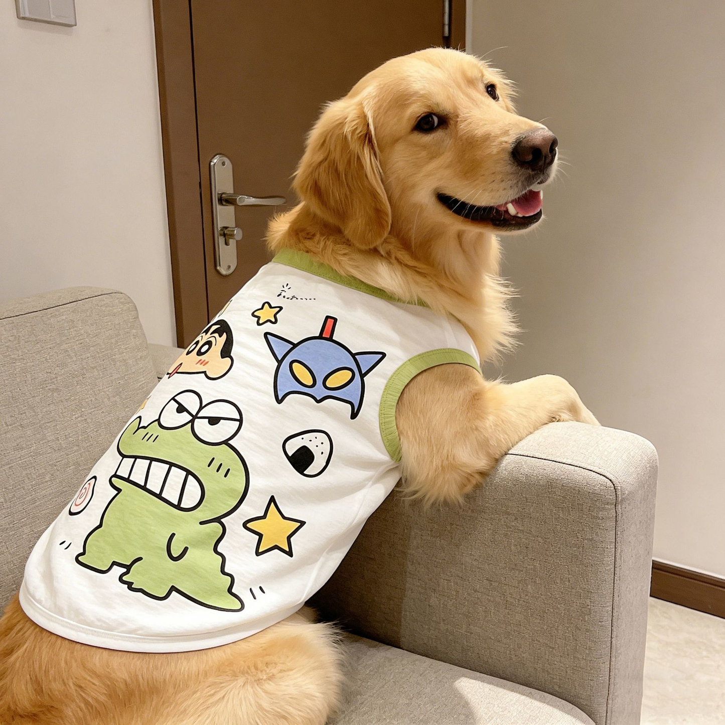 Kuscheliger Haustierpullover für Katzen & kleine Hunde