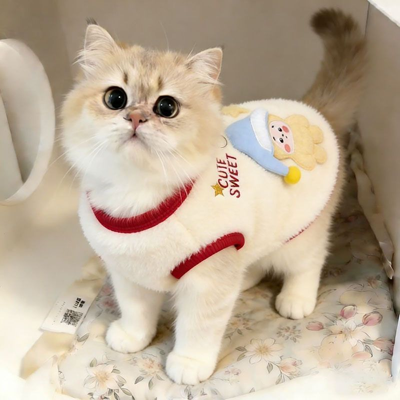 Kuscheliger Haustierpullover für Katzen & kleine Hunde