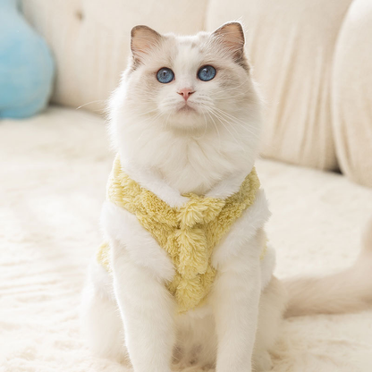 Gemusterter Strickpullover für Katzen und kleine Hunde