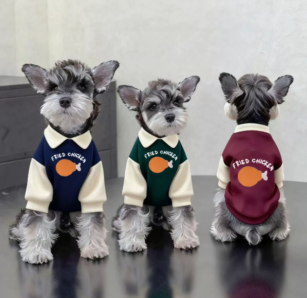Herbst-/Winter-Sweatshirt mit Reverskragen und Farbblock-Design, gefüttert, für Katzen und Hunde