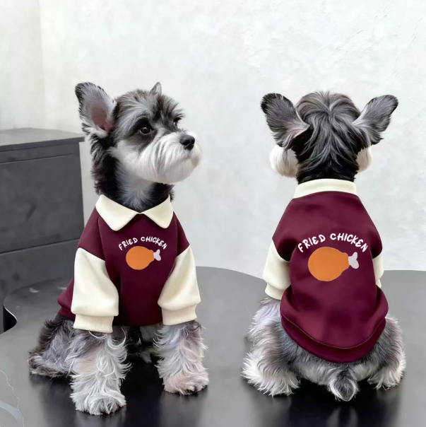 Herbst-/Winter-Sweatshirt mit Reverskragen und Farbblock-Design, gefüttert, für Katzen und Hunde
