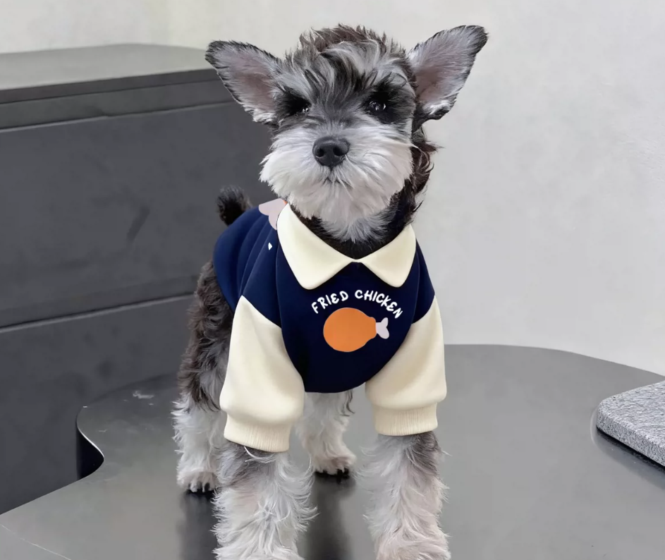 Herbst-/Winter-Sweatshirt mit Reverskragen und Farbblock-Design, gefüttert, für Katzen und Hunde