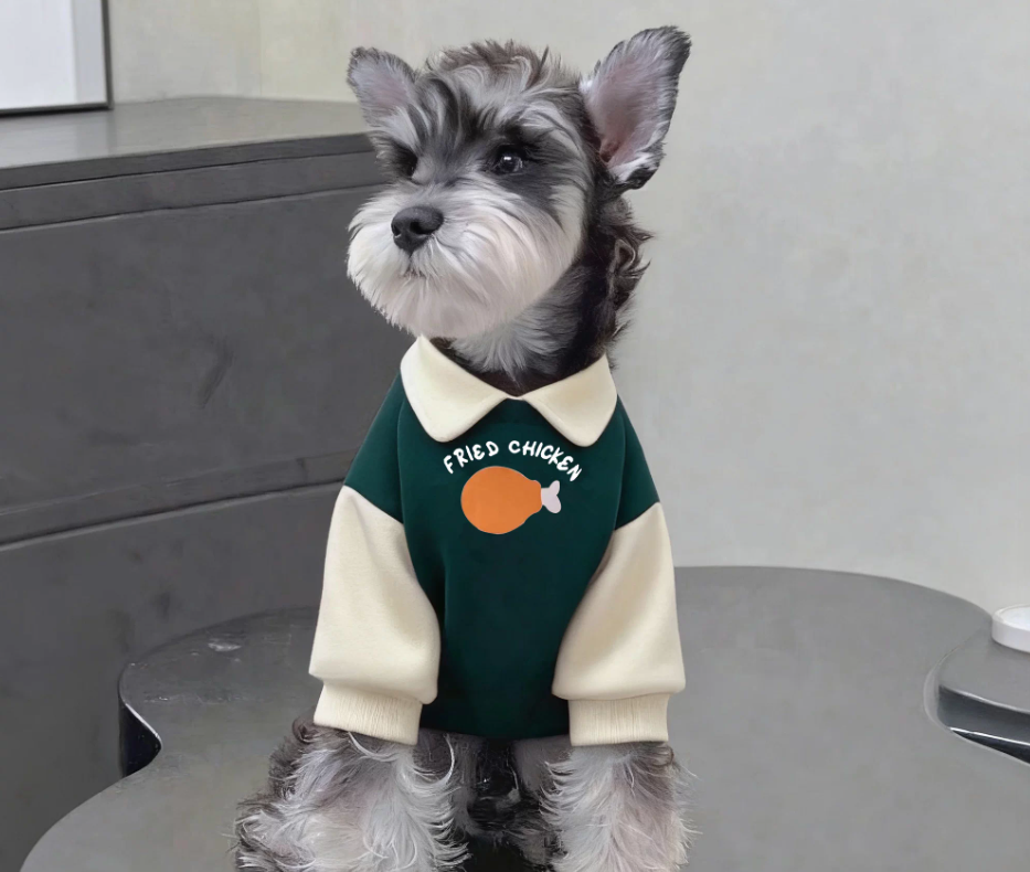 Herbst-/Winter-Sweatshirt mit Reverskragen und Farbblock-Design, gefüttert, für Katzen und Hunde