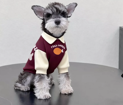 Herbst-/Winter-Sweatshirt mit Reverskragen und Farbblock-Design, gefüttert, für Katzen und Hunde
