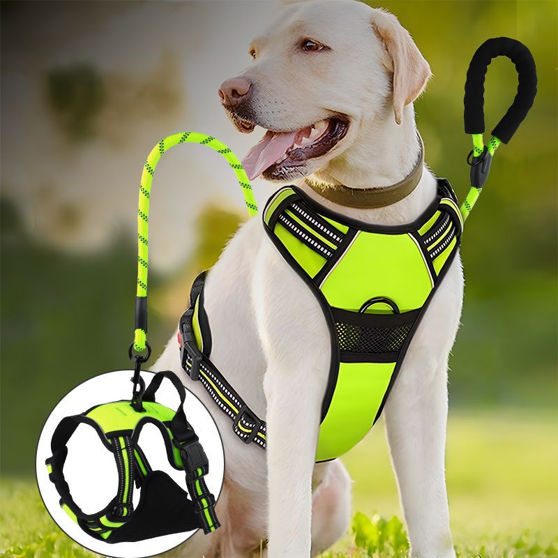 Reflective No-Pull Dog Harness and Leash Set – Vest-Style Harness for Large Dogs