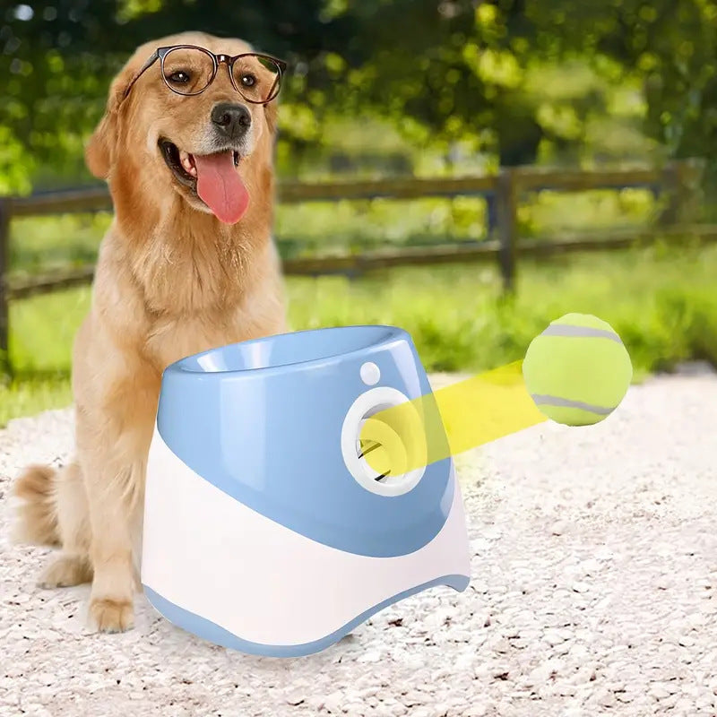 Outdoor Elastic Tennis Ball Launcher for Dogs